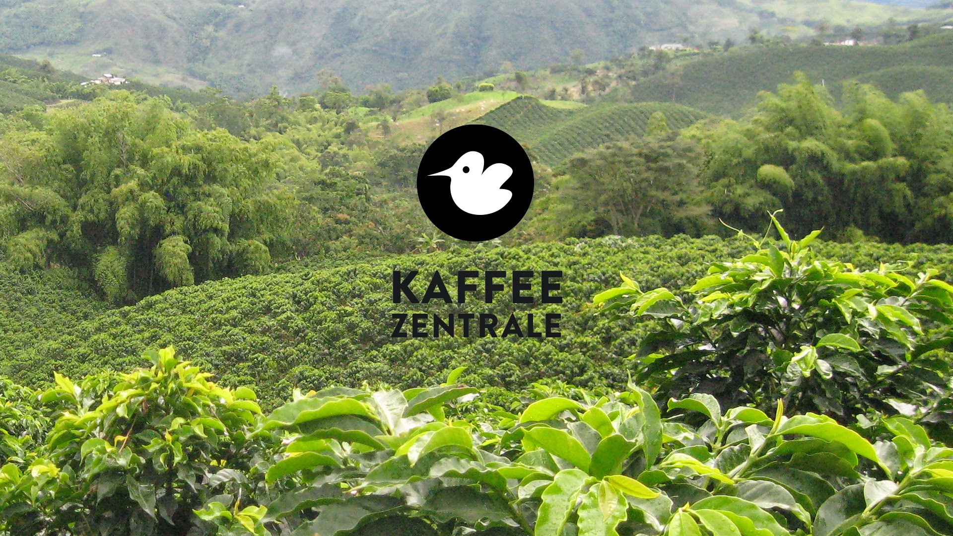 Bilder Kaffeezentrale Schweiz
