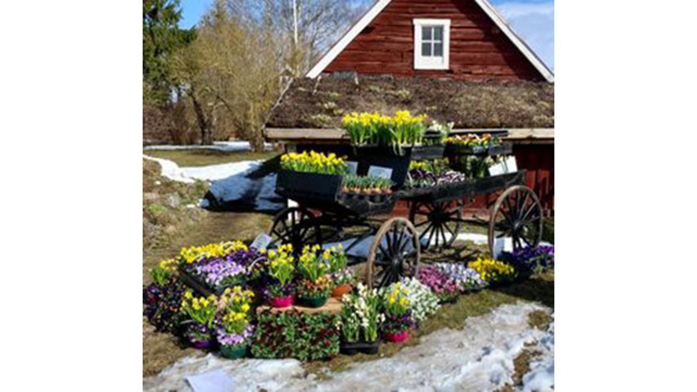 Images Botanicus Gårdsbutik AB - Handelsträdgård Östergötland