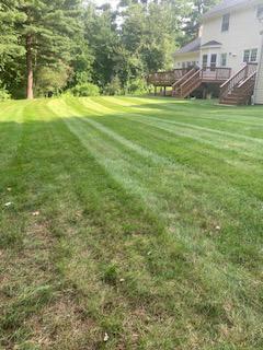 This is the backyard of a good-size lawn that we at Alvarez Landscaping LLC have been cutting and maintaining for the last 3+ years.