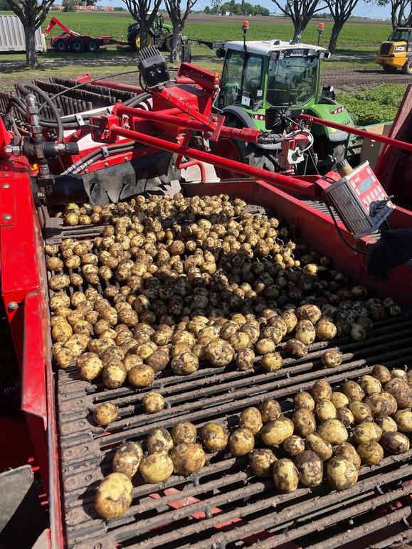 Images Gränsbo Potatis AB