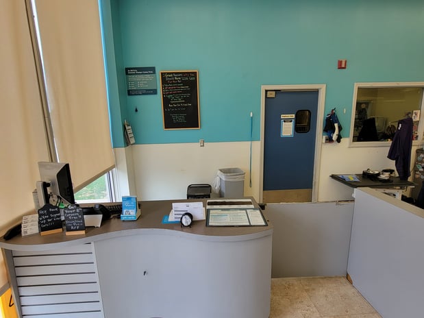 Images Petco Grooming
