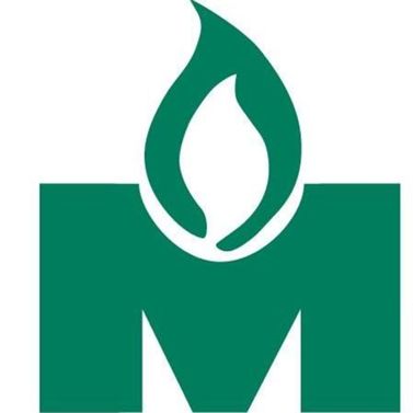 Metsäenergia Meter Oy Logo