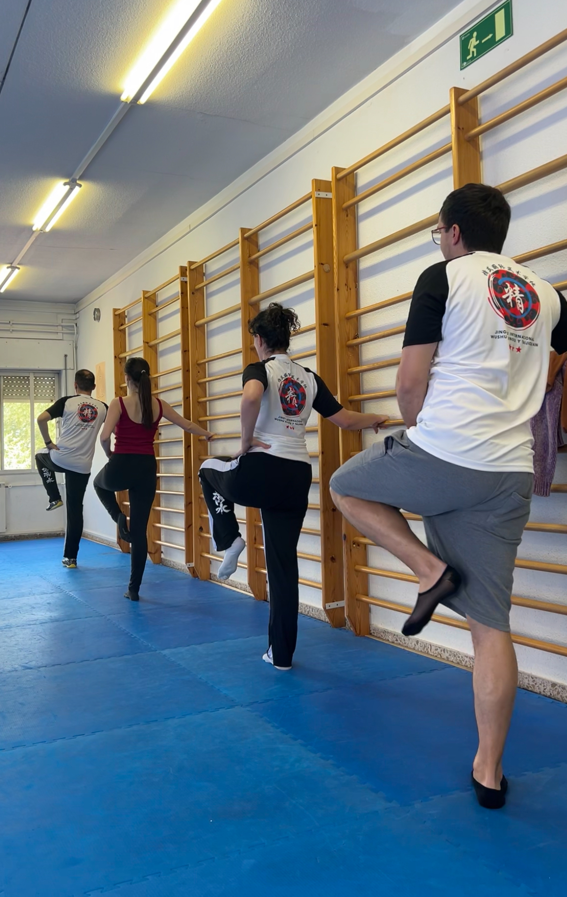 Images Escuela De Wushu/kung Fu Jingwu