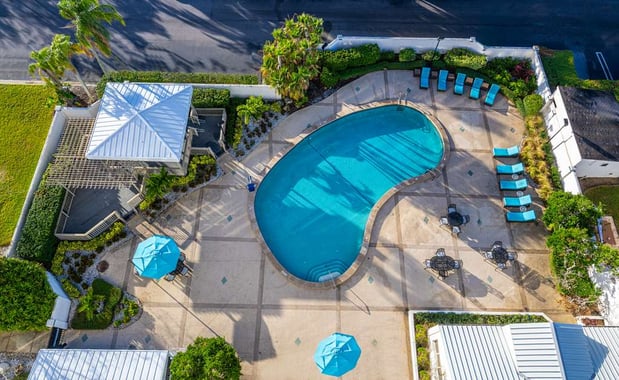 Images Hilton Tampa Airport Westshore