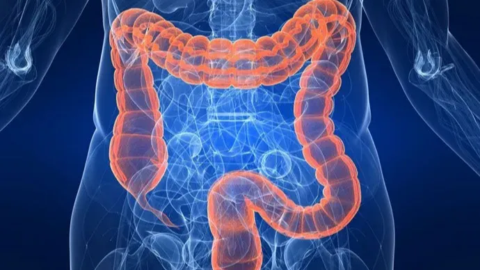 Images Dr. Jose Luis Cortez Sanchez