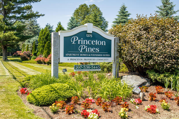 Images Princeton Pines