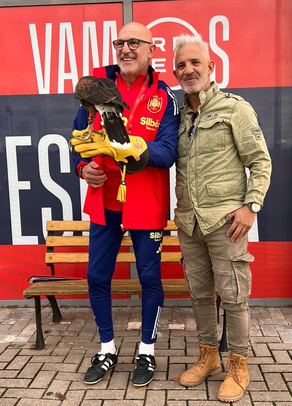 Images Bird Control Falcon S.L.