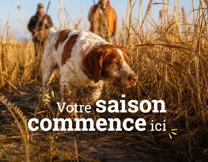 Votre saison commence ici