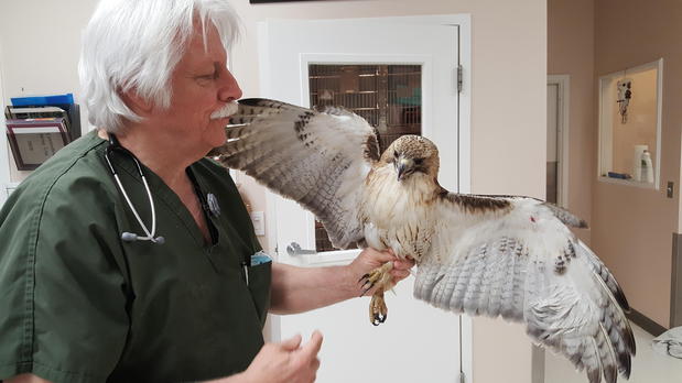 Images Village Veterinary Clinic