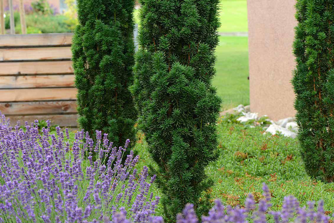 Bilder Gartengestaltung Andreas Jakob GmbH