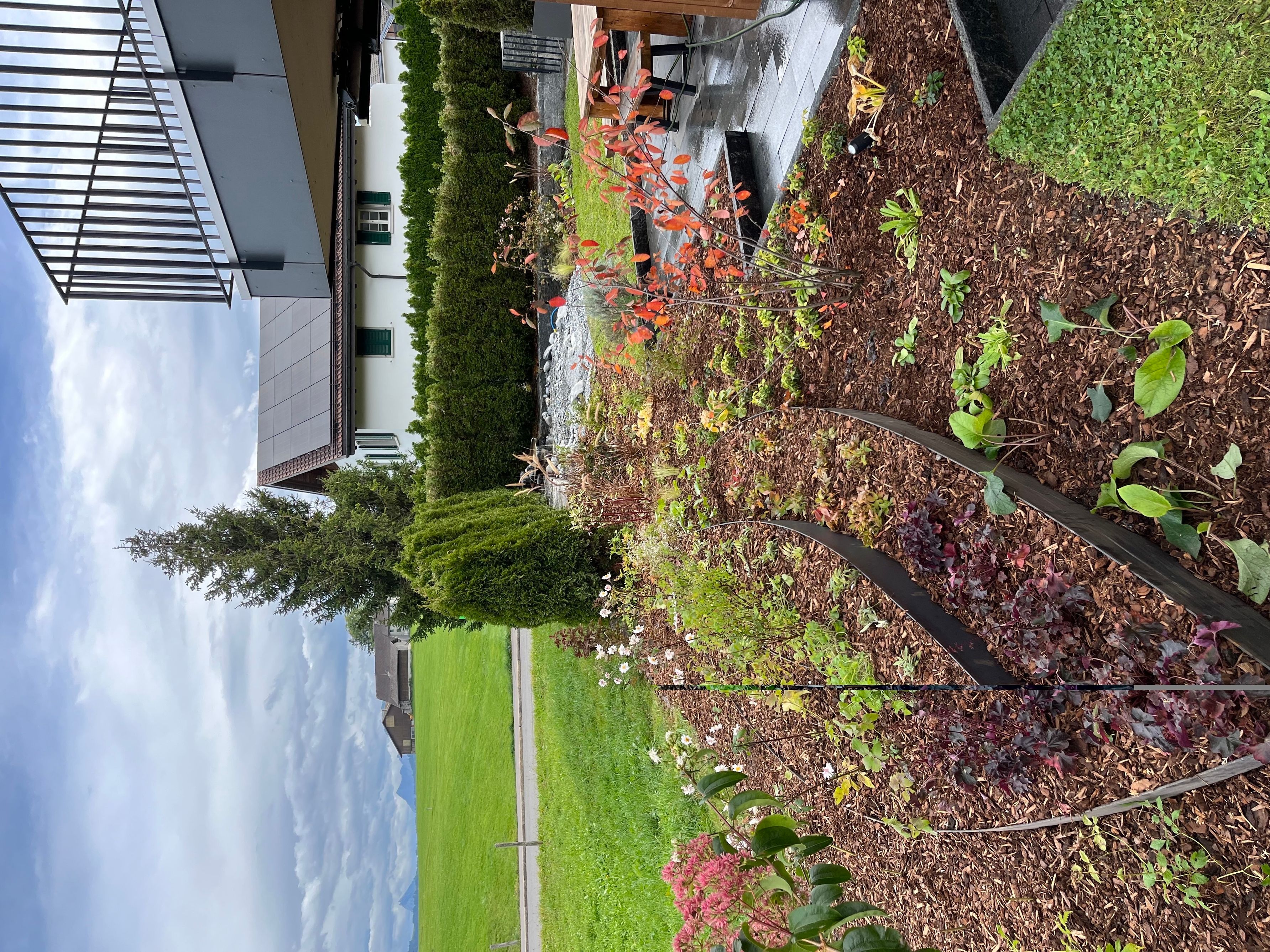 Bilder LUTZ Gartendesign