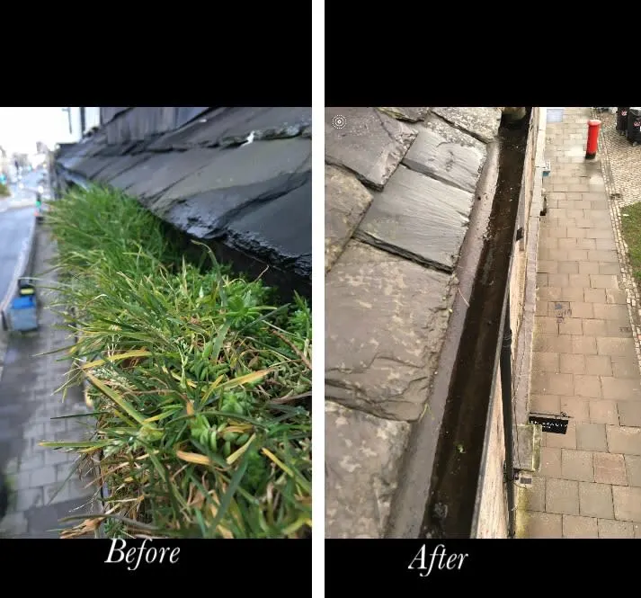 Images Coordinated Cleaning Services