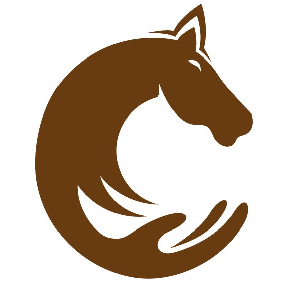 Ponyhof Fellbach // Heilkraft der Pferde  
