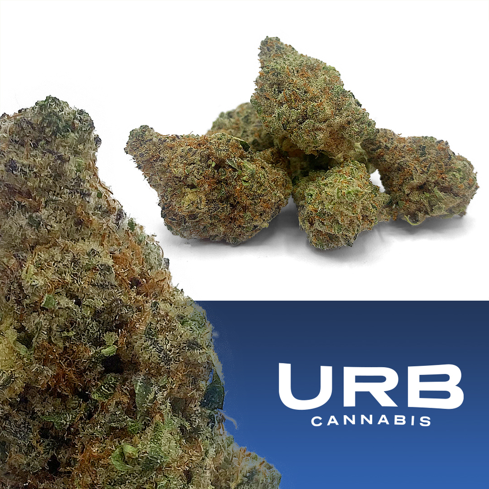 URB Cannabis Dispensary Vassar