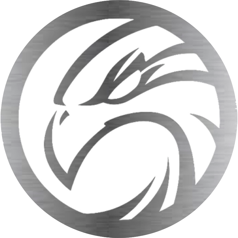 Nighthawk Security Logo