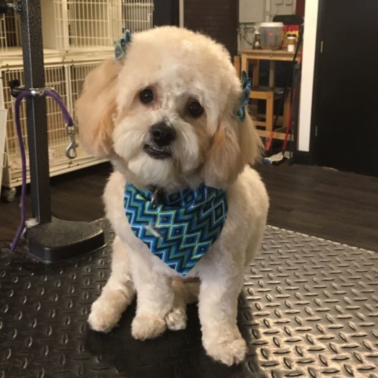 Bella looking adorable 