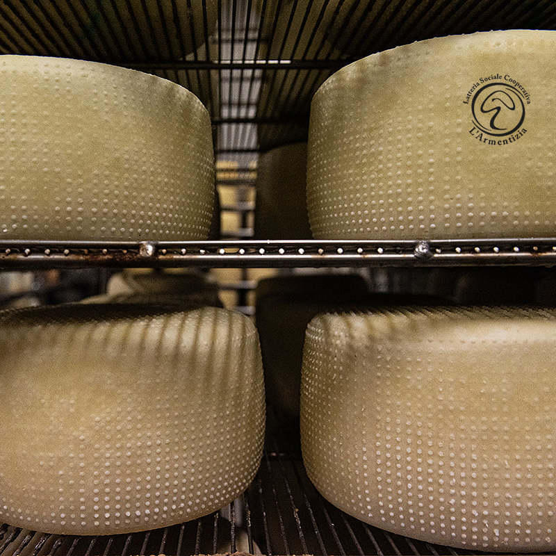 Images Caseificio L'Armentizia