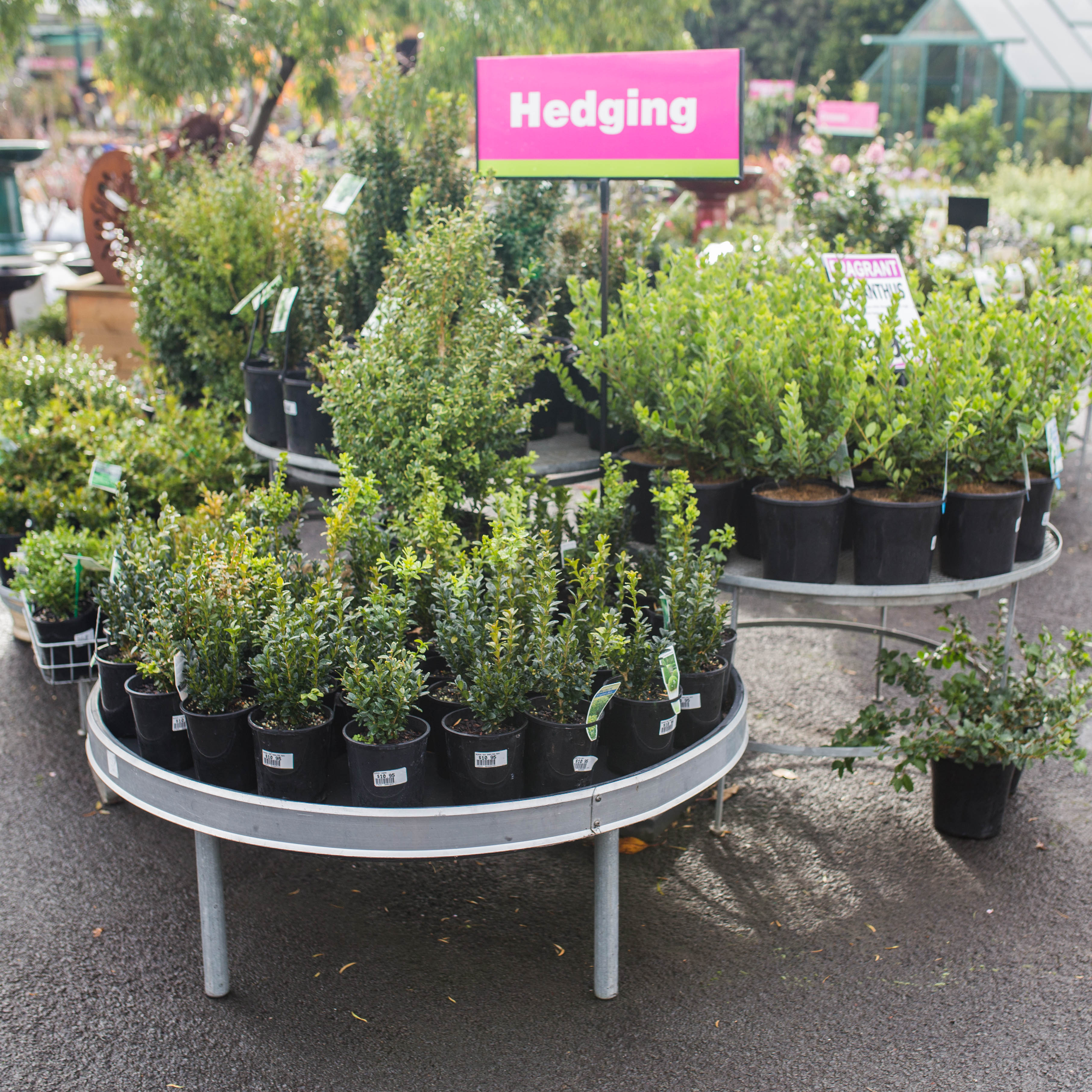 Images Stoneman's Garden Centre