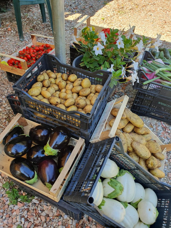Images La Rapa Felice Azienda Agricola