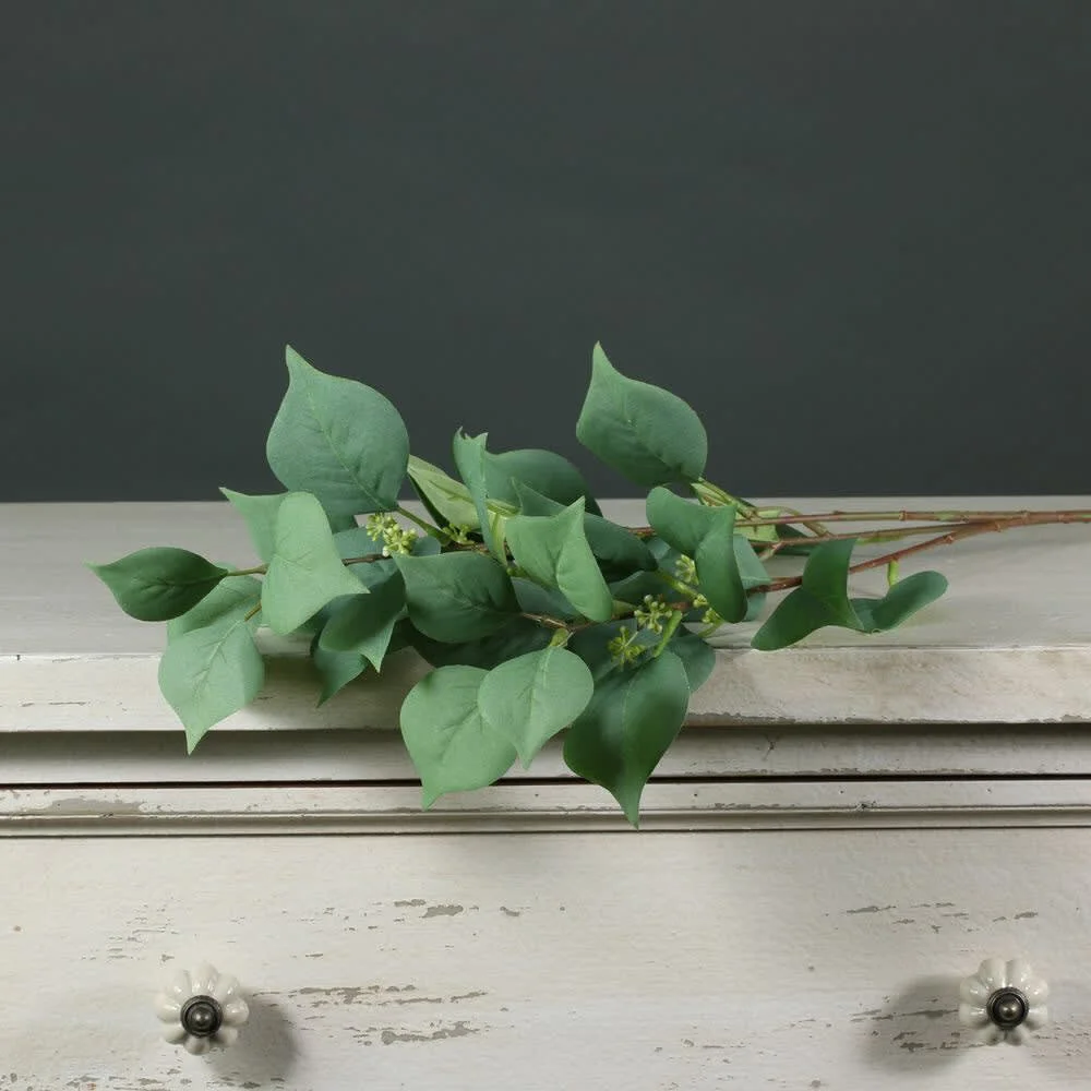 Images Village Green Wholesale Ltd