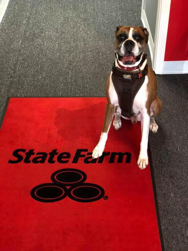 Images Josh Browning - State Farm Insurance Agent