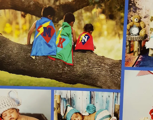 Images Wolfberry Sewing