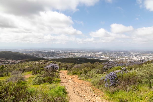 Images Camden Old Creek Apartments