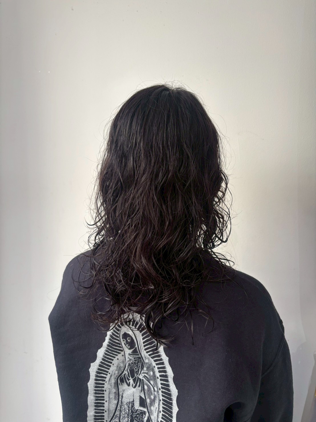 Images Lupine total beauty