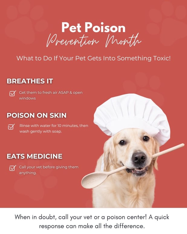 Images Walker Kesterson - State Farm Insurance Agent