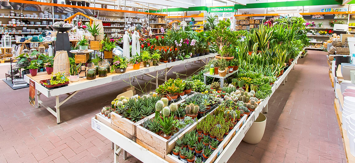 Kundenbild groß 6 OBI Markt Garbsen
