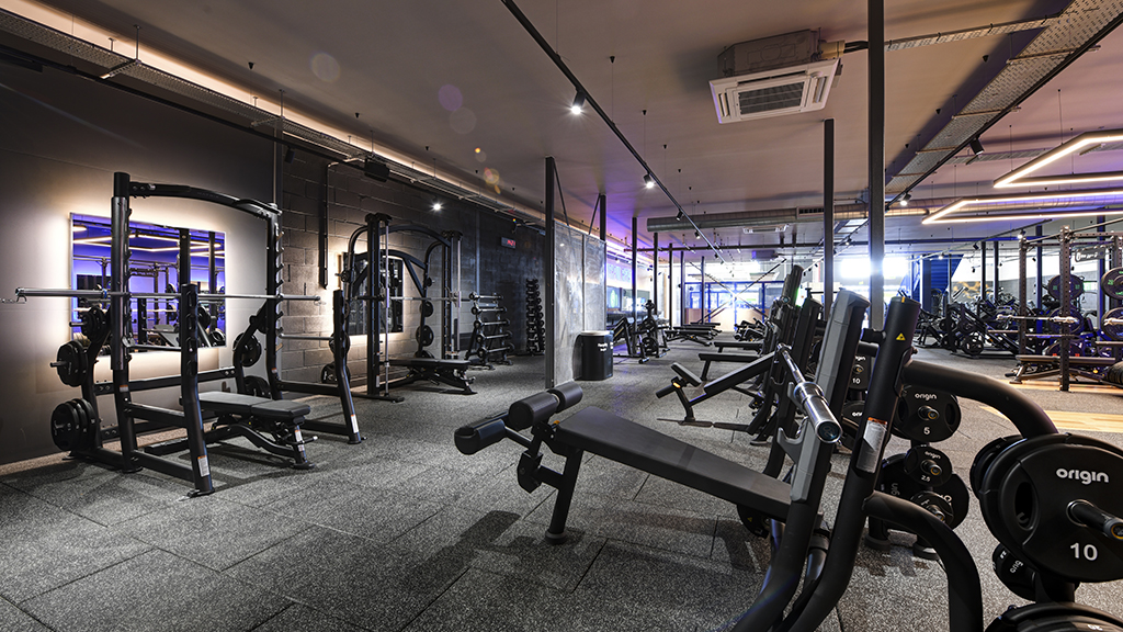 Free Weights Area