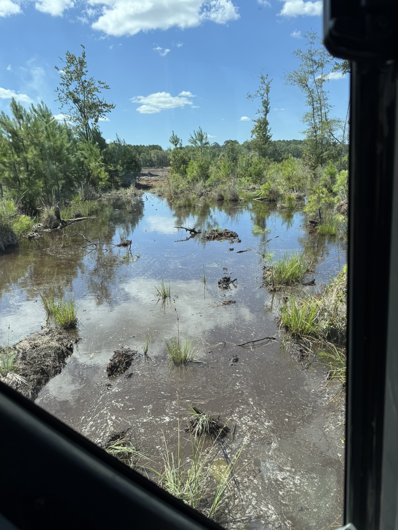 Photo of standing water on a property, showing a drainage problem that may require land grading, excavation, or drainage solutions.