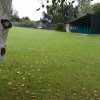 Gormanstown Driving Range 14