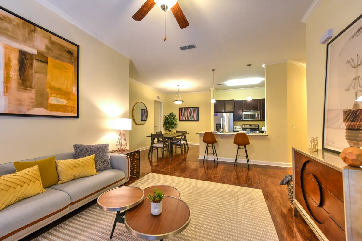 Living Room View 