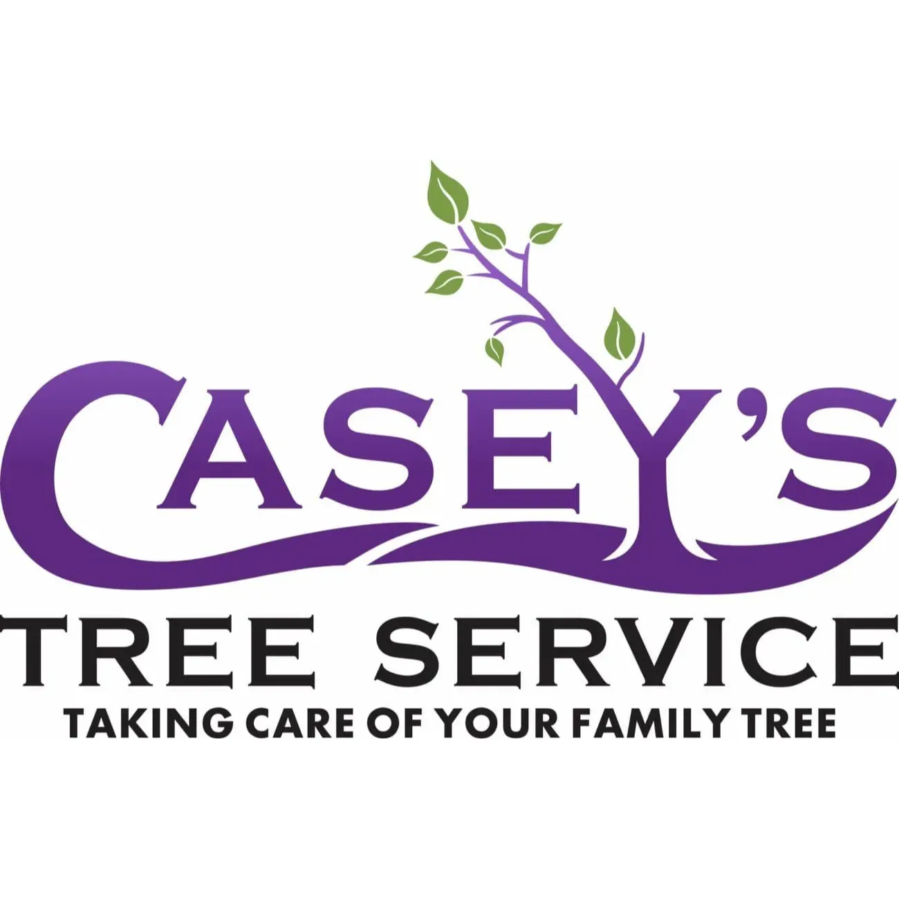 Casey's Tree Service LLC Logo