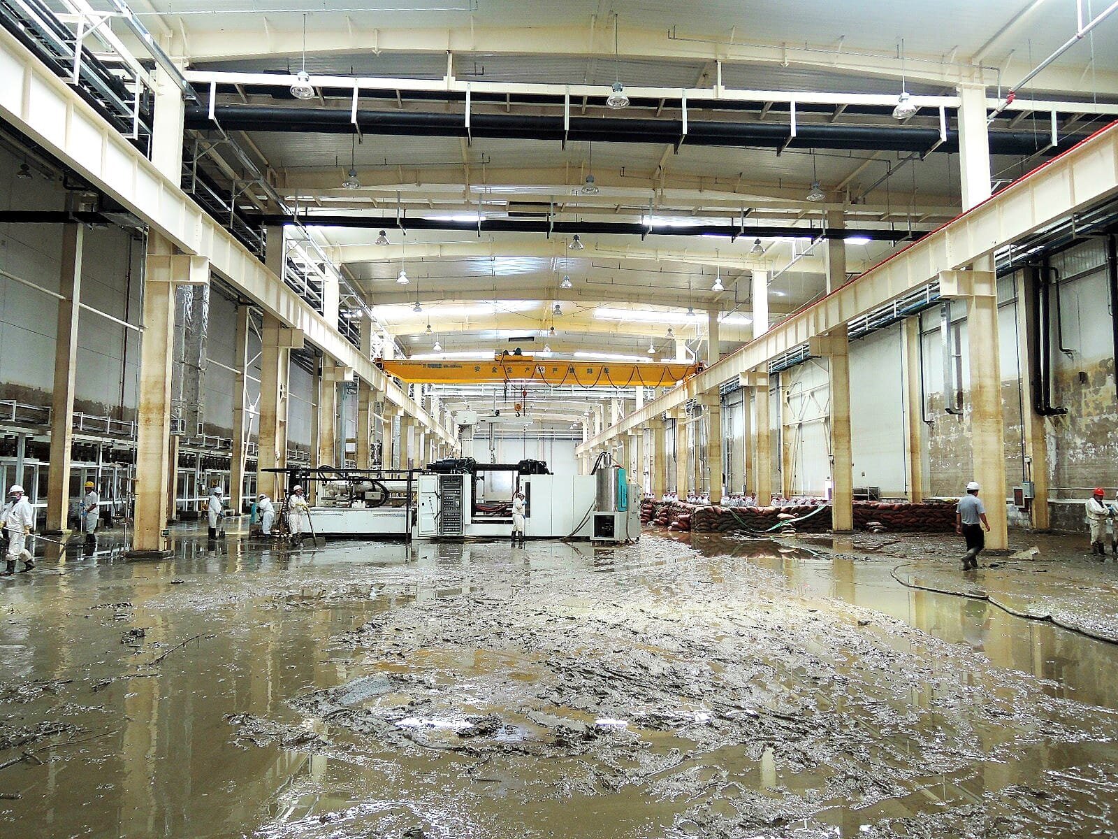 Bilder Star Reinigung