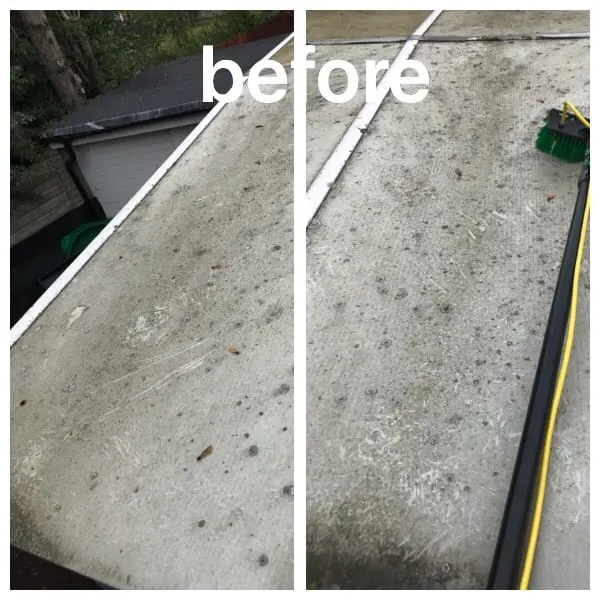 Images Prostyle Gardening & Home Services