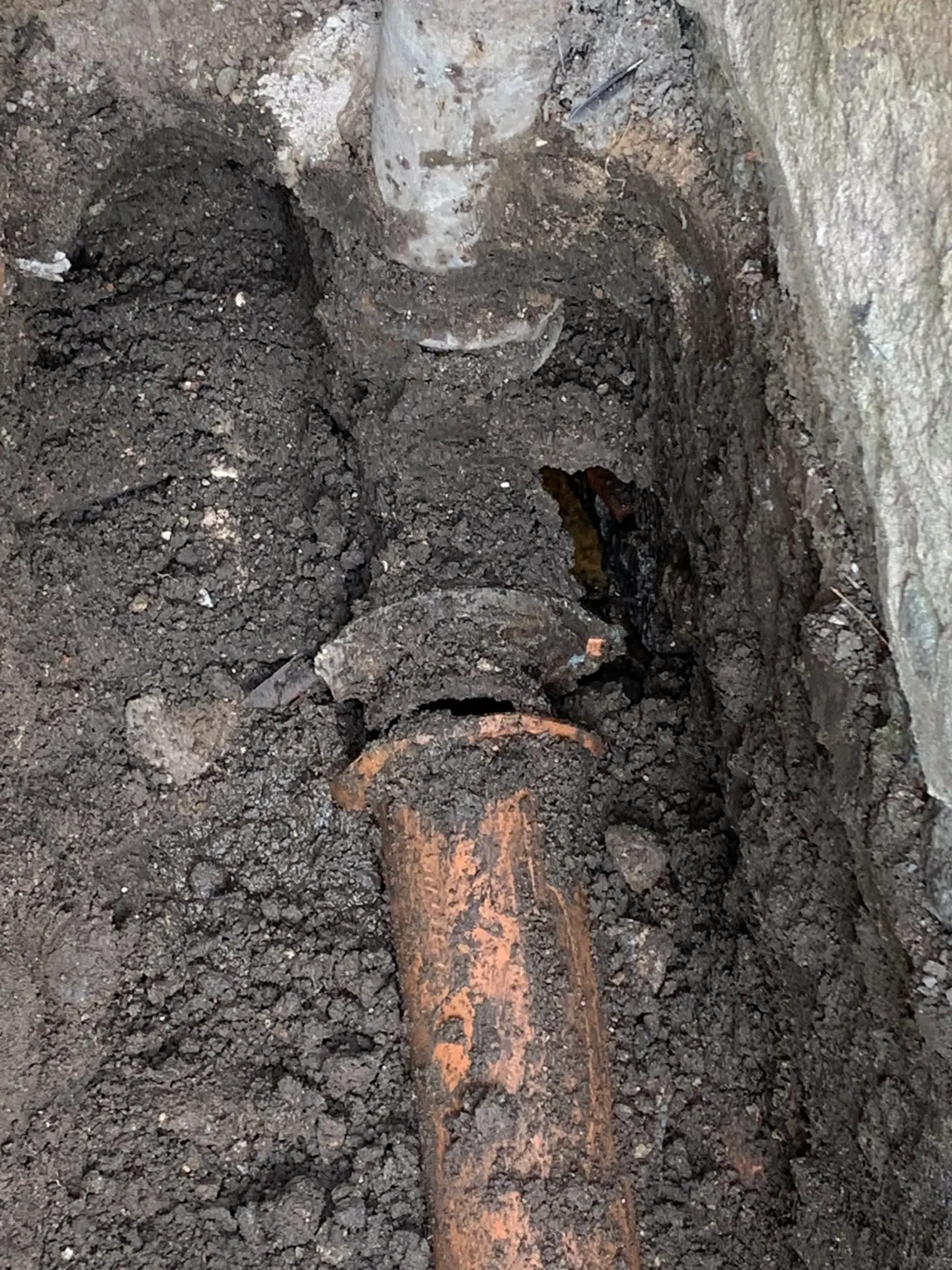 Images No.1 Drains Aberdeen Ltd