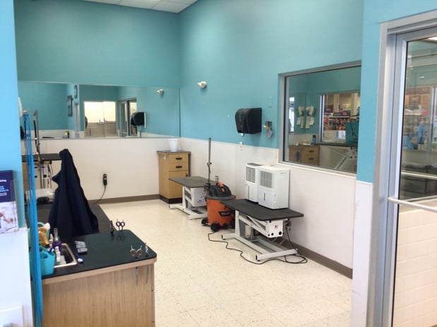 Images Petco Grooming