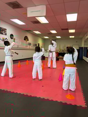 Images Jaguar Dojo
