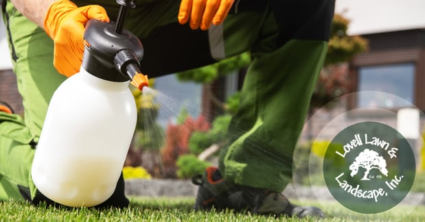 Images Lovell Lawn & Landscape Inc.