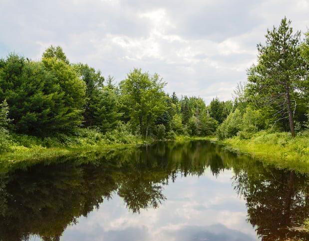 Images Patten Pond Campground