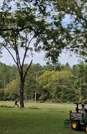 Images Dutton Tree Service