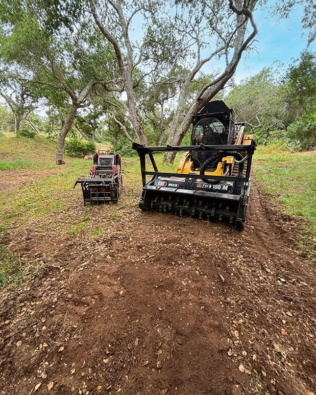 Images La Sirenita Tree Service