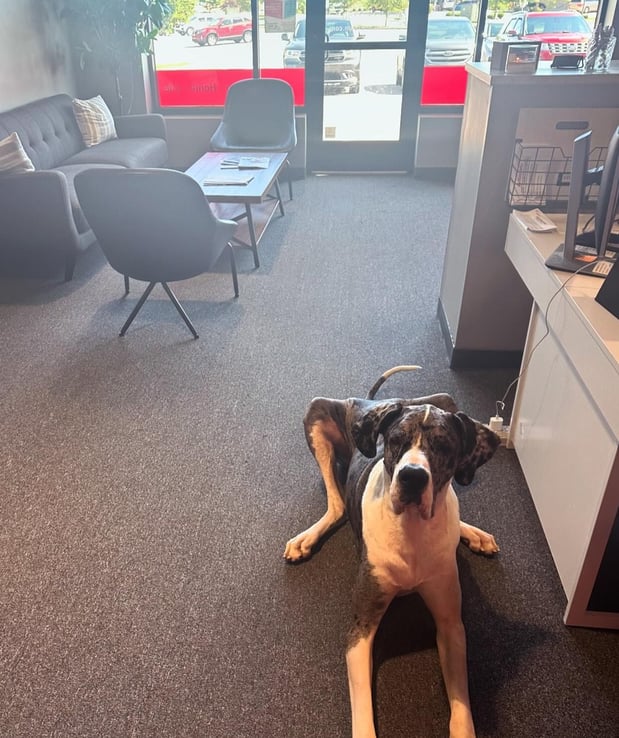 Images Josh Lane - State Farm Insurance Agent