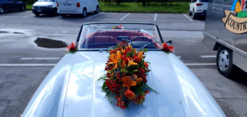 Images Fioreria Angolo Verde Zoldo