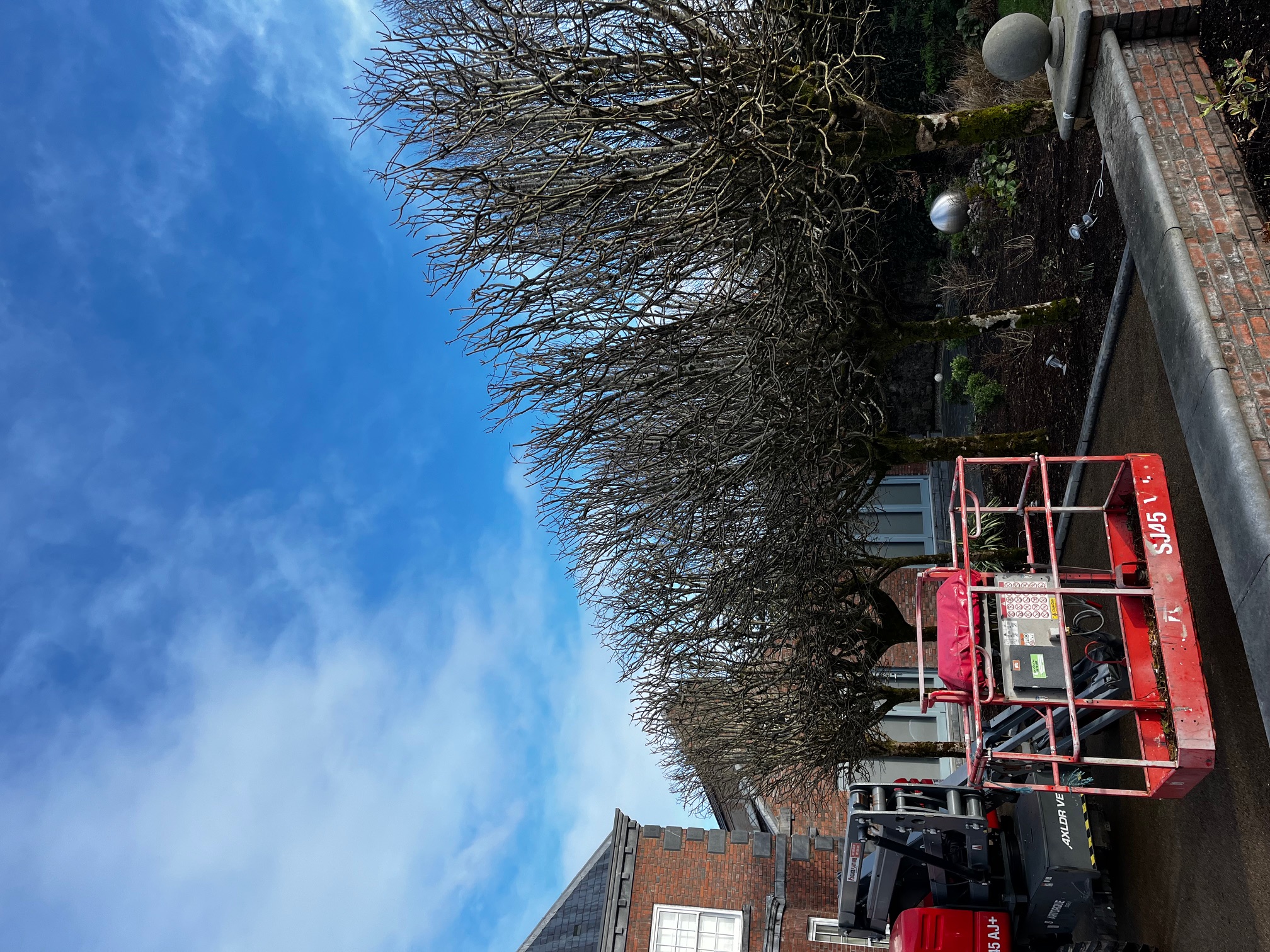 Connaughton & Sons Landscaping Ltd 18