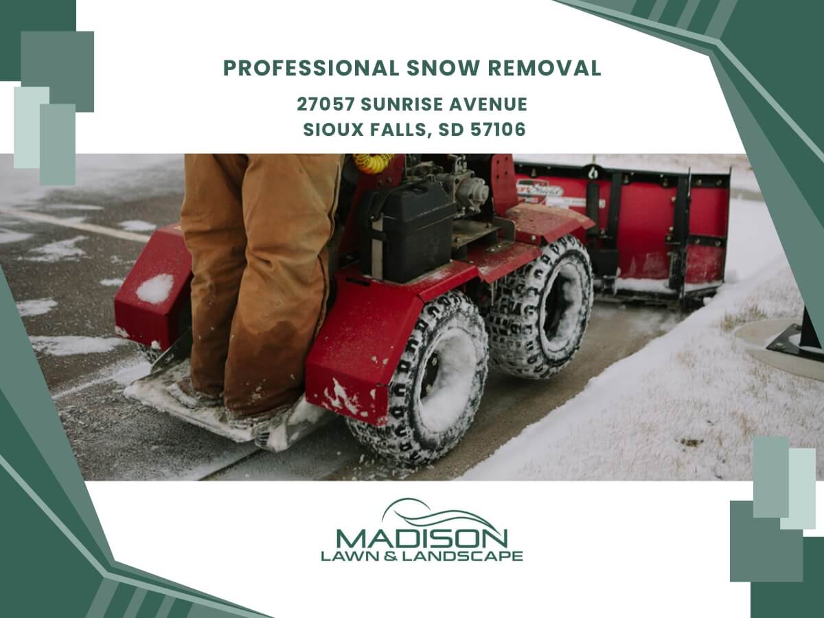 professional snow removal
