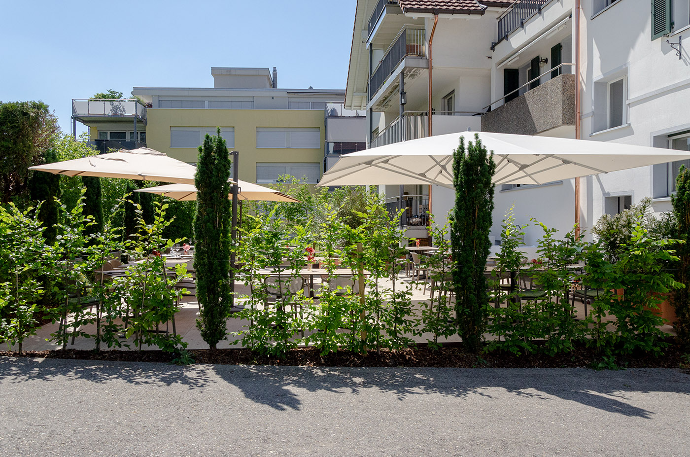 Bilder Grab Gartenbau AG