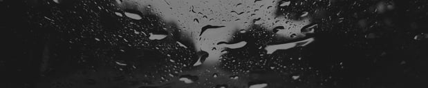 Images Davis Solar Protection Tint & Detail